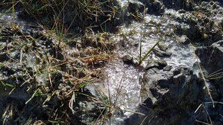 Erzurum'da soğuk hava nedeniyle dere buz tuttu