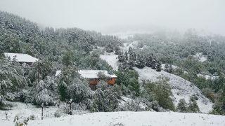 Artvin'de kar etkili oldu! Vatandaşlar yaylada mahsur kaldı