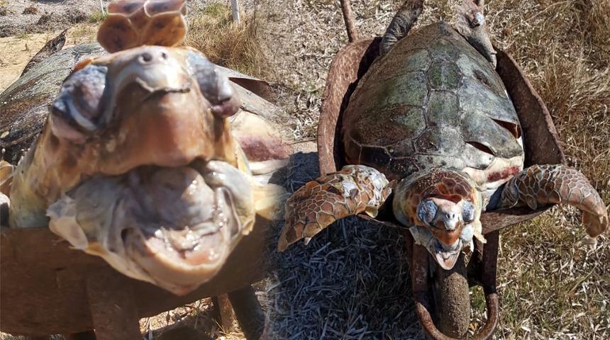 Kahreden görüntü! Ağzında poşetle kıyıya vurdu