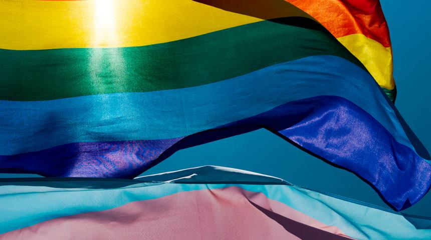 İsviçre'de eşcinsel evlilik referandumu: Yüzde 64 evet