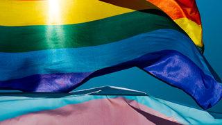 İsviçre'de eşcinsel evlilik referandumu: Yüzde 64 evet