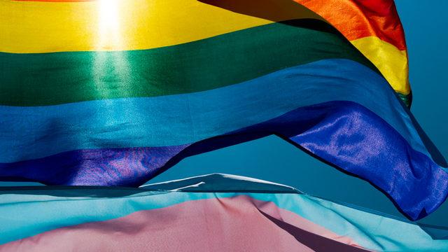 İsviçre'de eşcinsel evlilik referandumu: Yüzde 64 evet