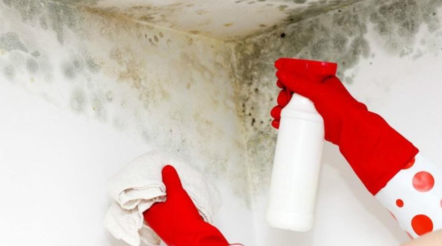 K&uuml;f y&uuml;z&uuml;nden eve bir daha girmek istemeyebilirsiniz! Bir an &ouml;nce &ouml;nlem almak i&ccedil;in...