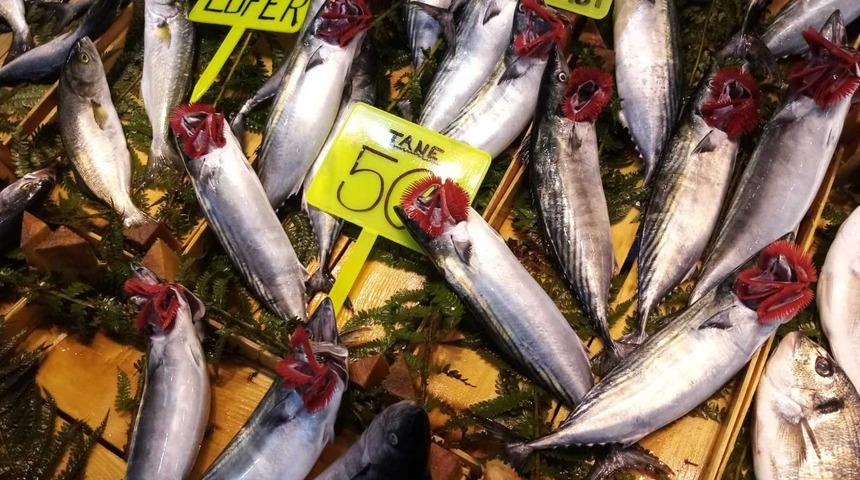 Hamsinin fiyatı 40 liraya dayandı! Yerli Marmara torik tanesi 150 ile 200 TL arasında satılıyor