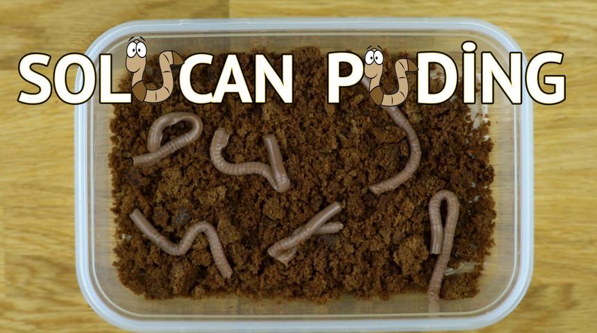 Gelsin Şakalar: Solucan Puding Tarifi 