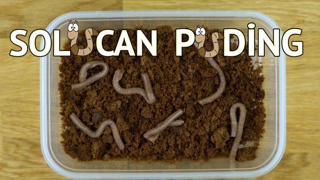Gelsin Şakalar: Solucan Puding Tarifi 
