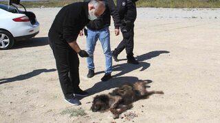 Korkunç görüntü! Yakıldığı iddia edilmişti, gerçek ortaya çıktı