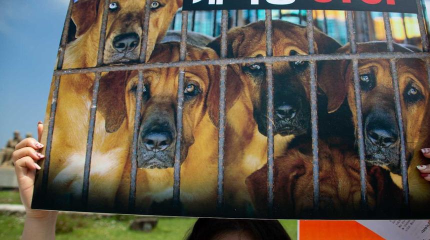 Güney Kore’de köpek eti tüketimi yasaklanabilir