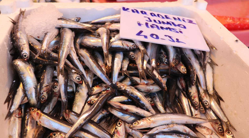 Gaziantepli balıkçılar kebap kültüründen şikayet etti