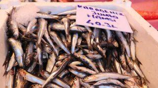 Gaziantepli balıkçılar kebap kültüründen şikayet etti