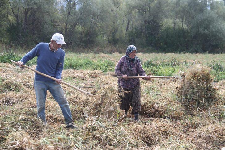 Konya'nın coğrafi işaretli ürünü Çetmi fasulyesi üreticisinin yüzünü güldürdü G3