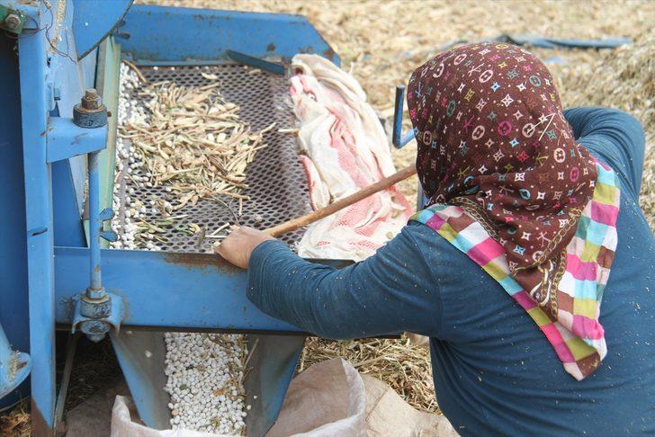 Konya'nın coğrafi işaretli ürünü Çetmi fasulyesi üreticisinin yüzünü güldürdü G5