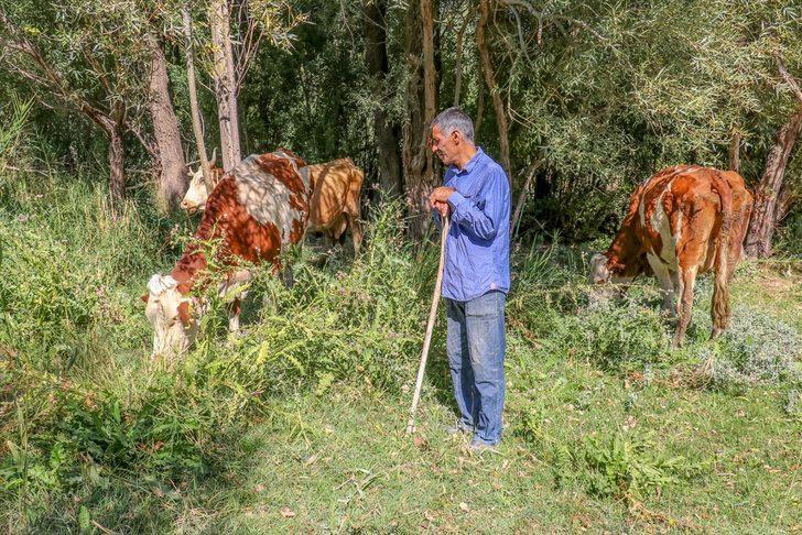 İŞKUR'un desteğiyle hayvancılığa başlayan engellilerden aile bütçesine katkı G4