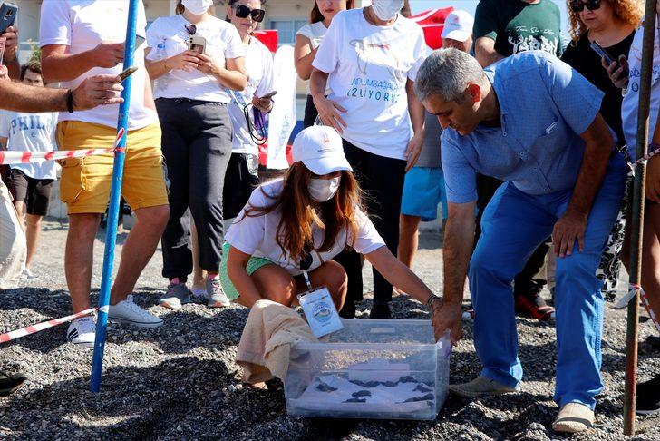 Uydu takip cihazı takılan 2 caretta caretta denize salındı G2