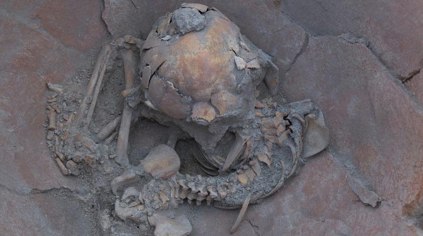 Arslantepe Höyüğü'nde MÖ 3600 yılından kalma 2 çocuk iskeleti bulundu