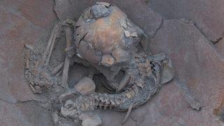 Arslantepe Höyüğü'nde MÖ 3600 yılından kalma 2 çocuk iskeleti bulundu