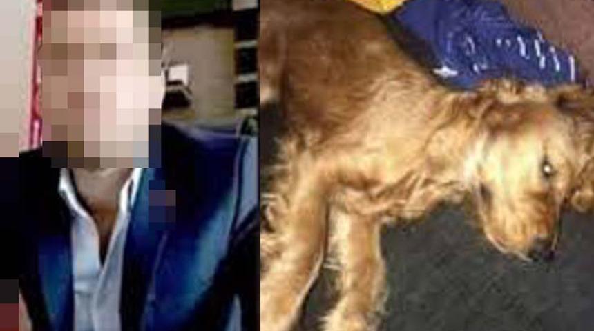 Köpeğe cinsel istismarda bulunup ölümüne neden olmuştu! Mide bulandıran olayda yeni gelişme