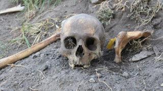 Korkutan görüntü: Her yerden kafatası ve kemikler çıkıyor