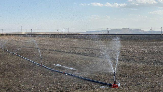Tarımda girdi maliyetleri arttı, 12 yılda &ccedil;ift&ccedil;ilerin yarısı tarımdan uzaklaştı:  Dayanacak g&uuml;c&uuml;m kalmadı  2