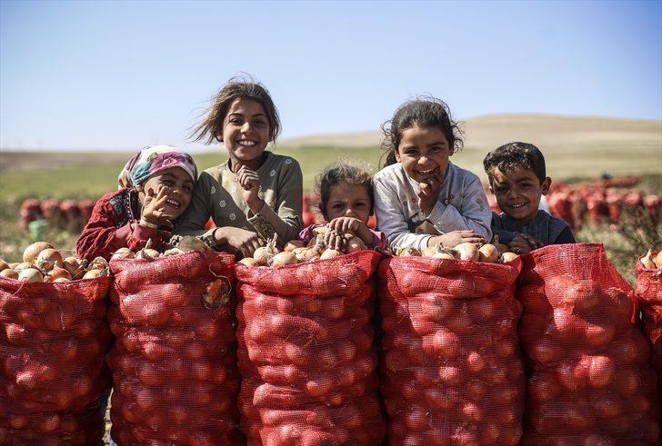 Yılın yarısı burada geçiyor! "Gölgemiz bile yok" G3