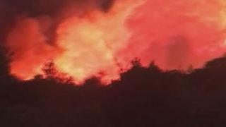 İzmir'de korkutan yangın: Çok sayıda ekip müdahale etti