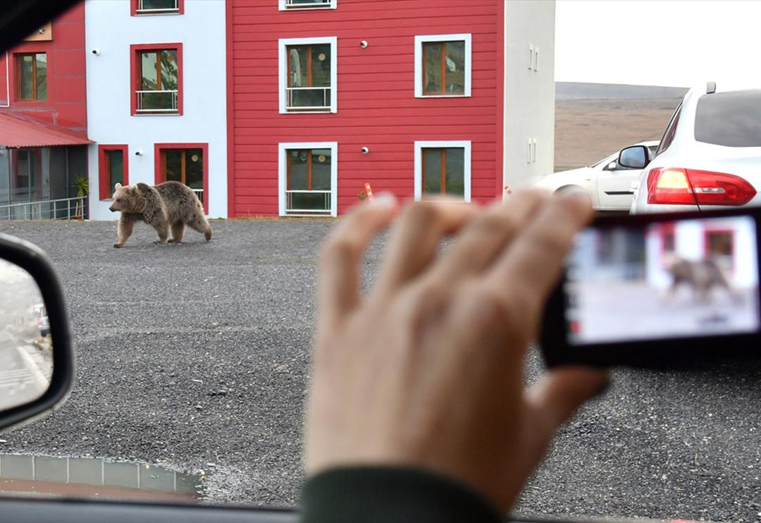 Şehrin g&ouml;beğinde ilgin&ccedil; g&ouml;r&uuml;nt&uuml;ler! G&ouml;ren telefonuna sarıldı