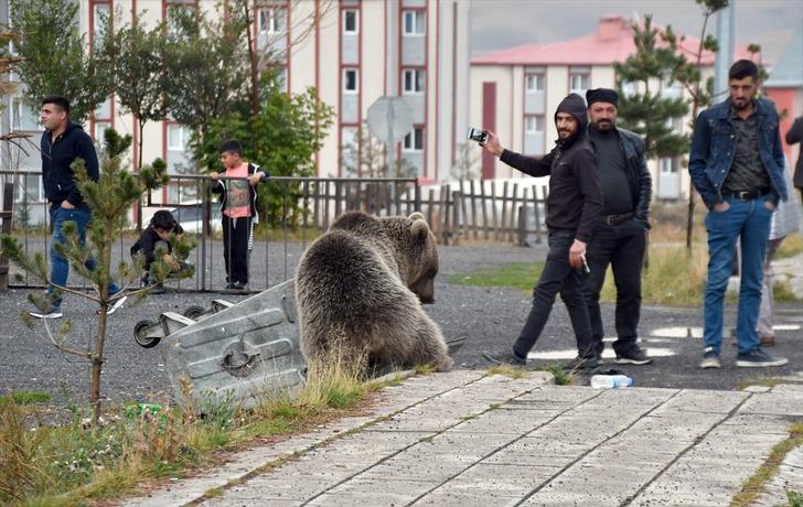 Şehrin göbeğinde ilginç görüntüler! Gören telefonuna sarıldı G1