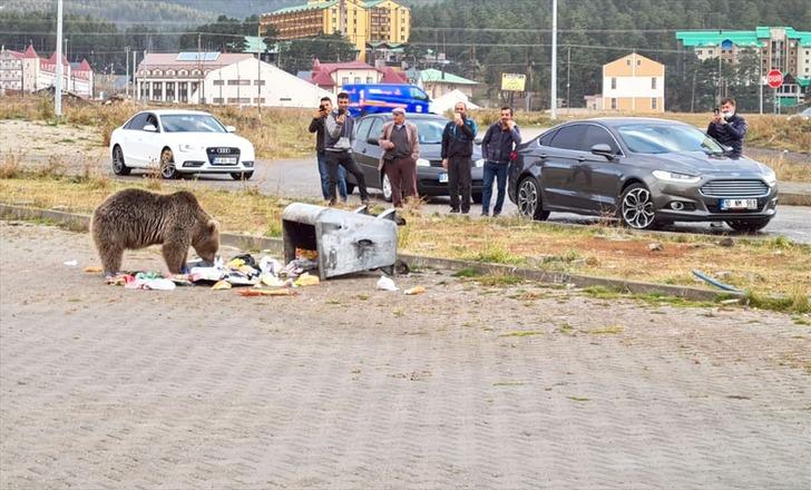 Şehrin göbeğinde ilginç görüntüler! Gören telefonuna sarıldı G3