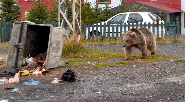 Şehrin göbeğinde ilginç görüntüler! Gören telefonuna sarıldı G5