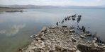 Pojavil se je, ko se je voda jezera Van umikala!  Polnih 100 let