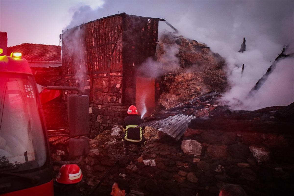 K&uuml;tahya'da ahır ve samanlık yangınında 3 k&uuml;&ccedil;&uuml;kbaş hayvan telef oldu