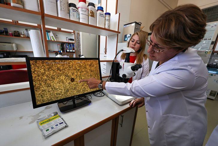 Van'da geliştirilen yerli mikrobiyal gübre kuraklığın tarımdaki etkisini azaltacak G1