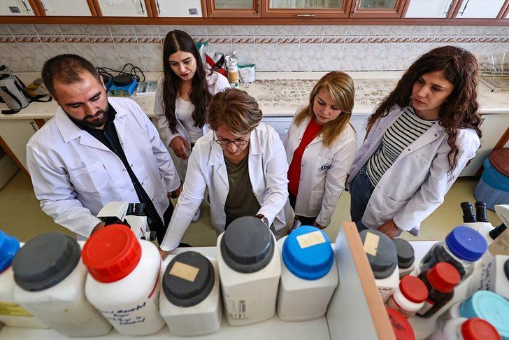 Van'da geliştirilen yerli mikrobiyal gübre kuraklığın tarımdaki etkisini azaltacak G5
