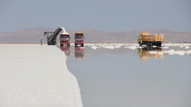 Ekinsiz tarladan 60'tan fazla ülkeye ihracat!