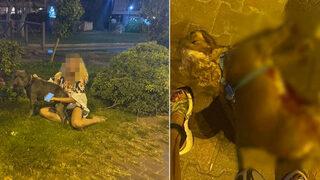 Antalya'da pitbull dehşeti! Sosyal medyayı ayağa kaldırdı