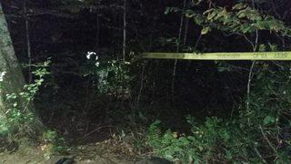 Düzce'de bir kişi iddiaya göre av sırasında tüfeğinin ateş alması sonucu yeğenini vurdu