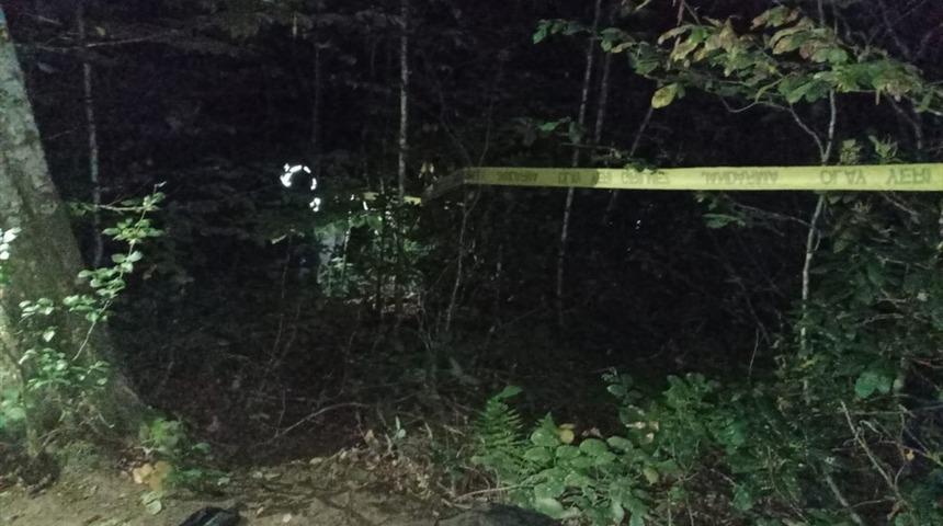 Düzce'de bir kişi iddiaya göre av sırasında "tüfeğinin ateş alması" sonucu yeğenini vurdu