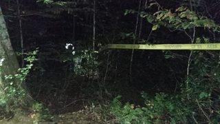 Korkunç olay! Av sırasında yeğenini vurdu