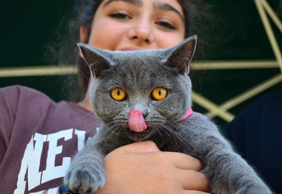 Patifest renkli g&ouml;r&uuml;nt&uuml;lere sahne oldu