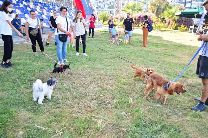 Patifest renkli görüntülere sahne oldu G2