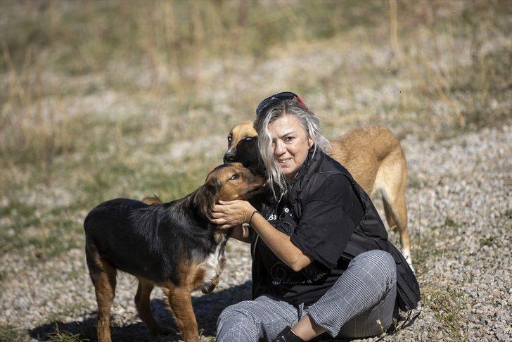 Hayvanseverlerin kurduğu dernek 170 köpeğin sıcak yuvası oldu G2