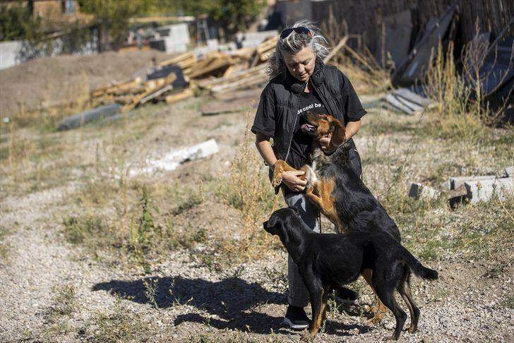 Hayvanseverlerin kurduğu dernek 170 köpeğin sıcak yuvası oldu G3
