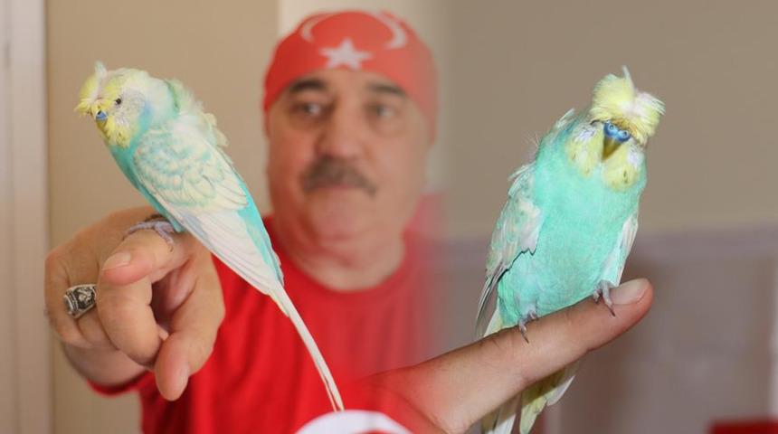 Bu kuşu görenler şaşırıyor: Sivasspor sahaya çıktığı zaman anons yaptırmak istiyorum