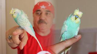 Bu kuşu görenler şaşırıyor: Sivasspor sahaya çıktığı zaman anons yaptırmak istiyorum