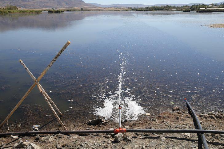 Kuraklıktan etkilenen Ulaş Gölü'nde balık ölümlerini önlemek için çalışma başlatıldı G1