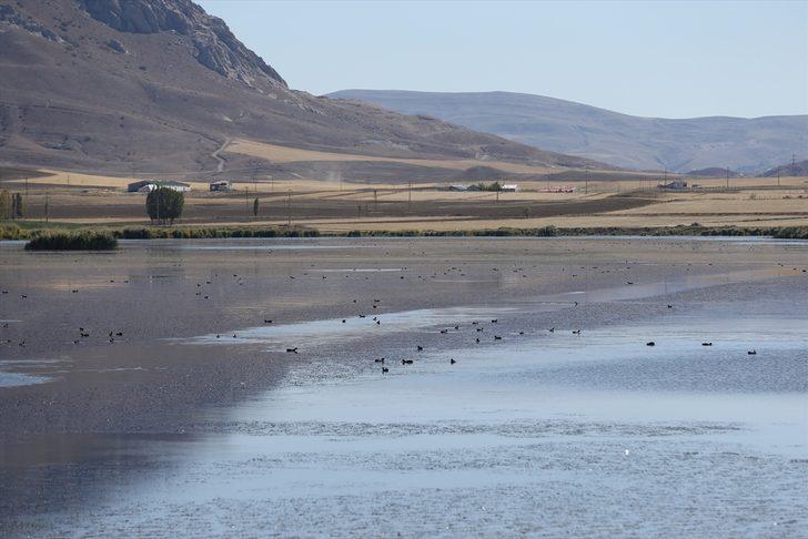 Kuraklıktan etkilenen Ulaş Gölü'nde balık ölümlerini önlemek için çalışma başlatıldı G2