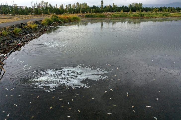 Kuraklıktan etkilenen Ulaş Gölü'nde balık ölümlerini önlemek için çalışma başlatıldı G4
