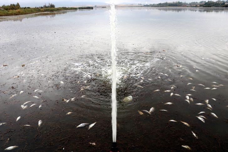 Kuraklıktan etkilenen Ulaş Gölü'nde balık ölümlerini önlemek için çalışma başlatıldı G5