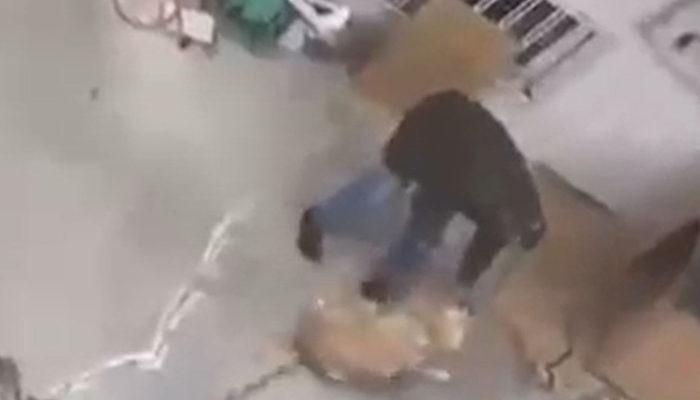 İstanbul'da köpeğe şiddet! Emekli sağlık çalışanının ifadesi ortaya çıktı