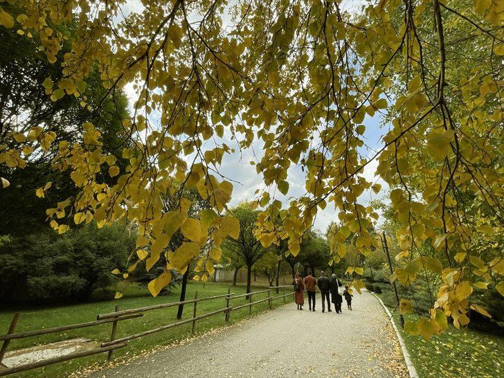 Erzurum'da parklar sonbahar renkleriyle güzelleşti G2